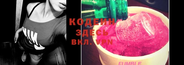 2c-b Бородино