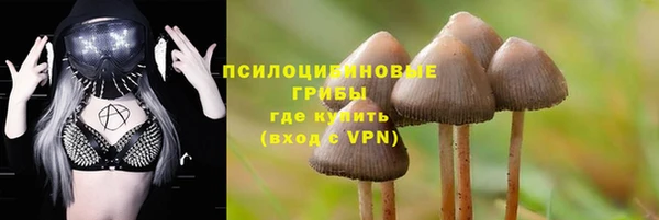 Альфа ПВП Богородск