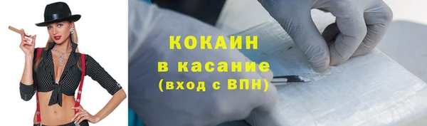 стафф Богданович