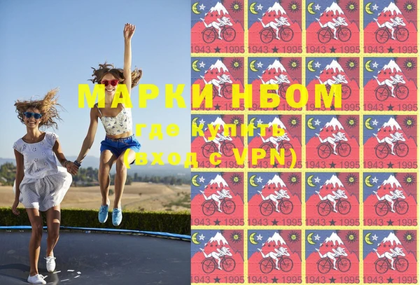 стафф Богданович